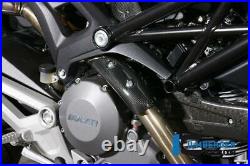 Ilmberger GLOSS Carbon Exhaust Manifold Heat Shield Ducati Monster 696 2011